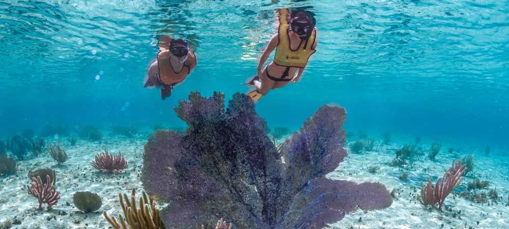 Three Reef Snorkel Tour Cozumel