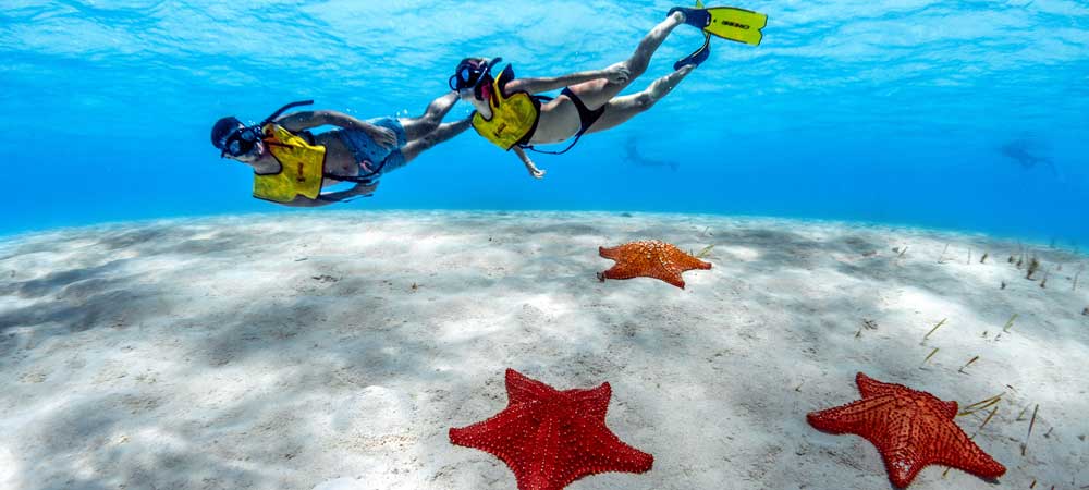 Three Reef Snorkel Tour Cozumel