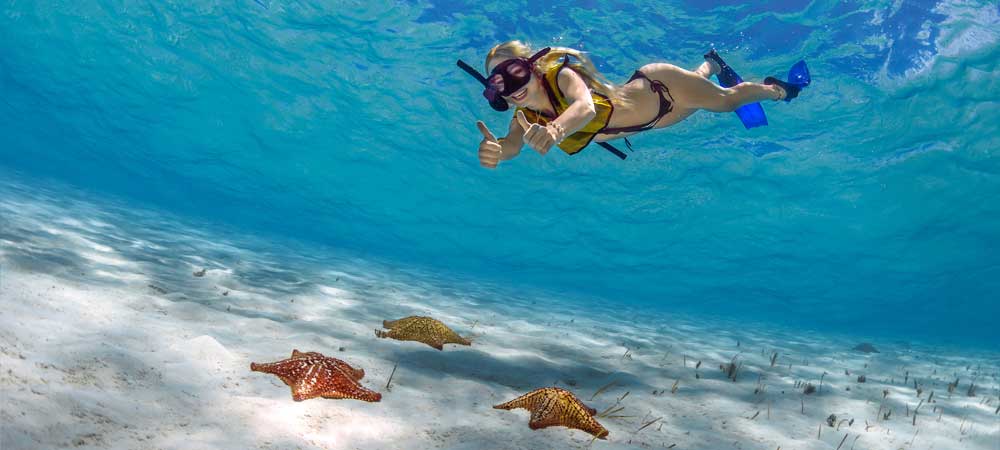 Three Reef Snorkel Tour Cozumel