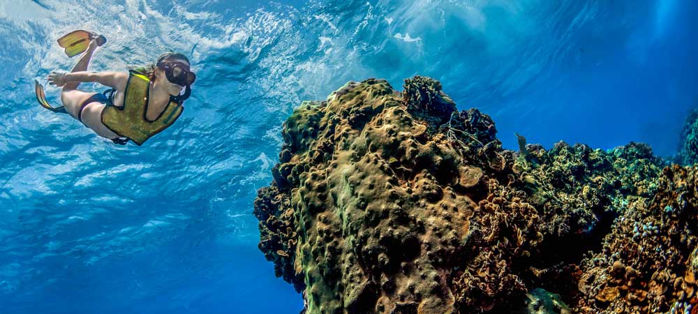 Three Reef Snorkel Tour Cozumel