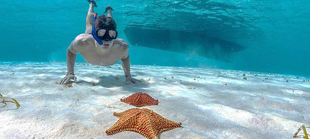 Three Reef Snorkel Tour Cozumel