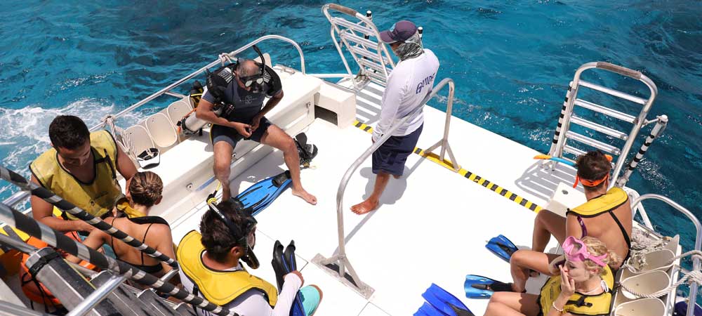 Three Reef Snorkel Tour Cozumel