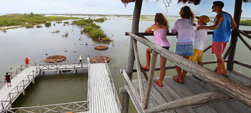 Isla Cozumel Highlights Tour Punta Sur Eco Reserve