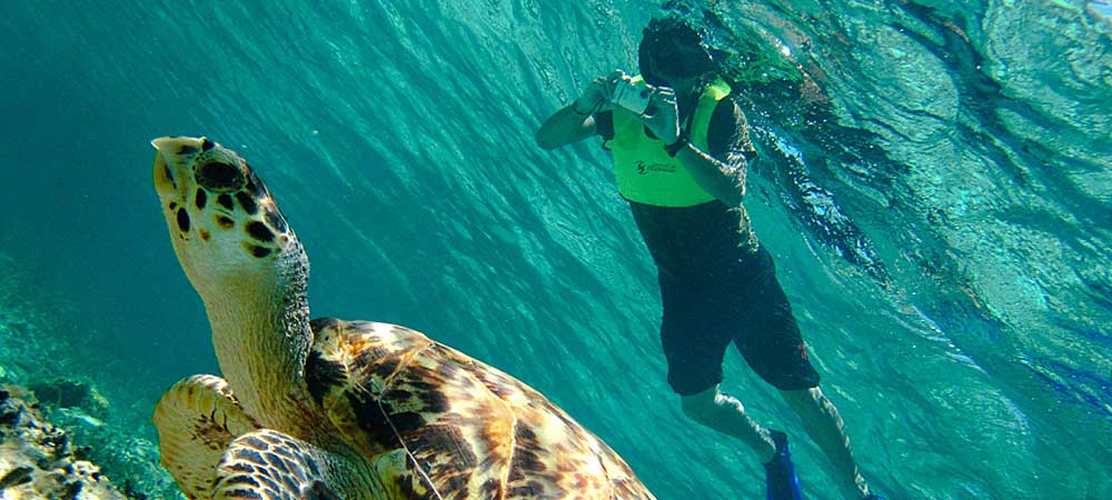 Island & Off-Road Jeep Tour